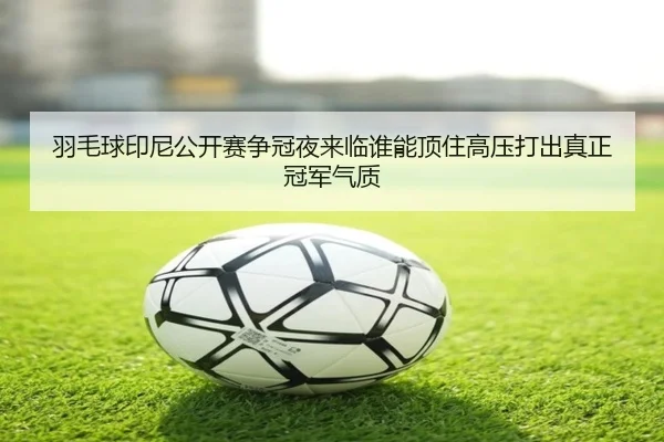 img_1781369869644_19_0_194.jpg